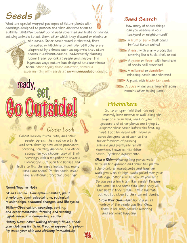 Seeds Activity Page