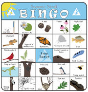 Explore The Outdoors With Nature Bingo