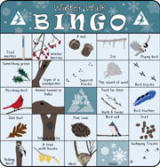 Explore The Outdoors With Nature Bingo