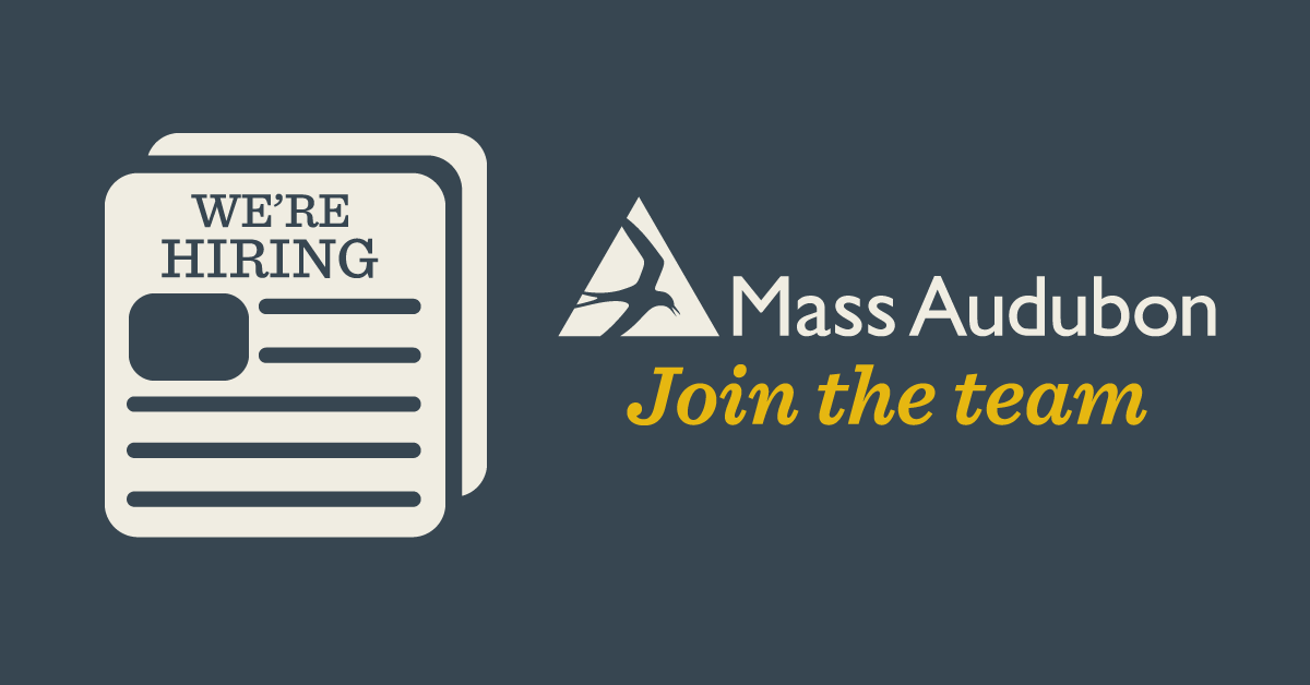 Jobs at Mass Audubon