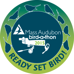 Bird-a-thon 2015