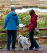 Marsh Overlook of Sensory Trail