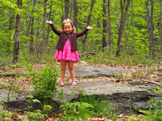 Ariana Passport Wachusett
