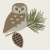 Facebook icon for Nantucket Wildlife Sanctuaries