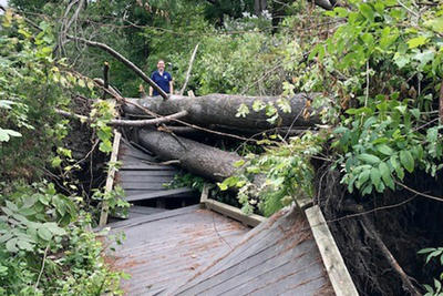 Boardwalk damaged at Pleasant Valley