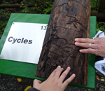 Hands on Cycles Sensory Trail Sign