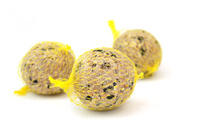 Suet balls