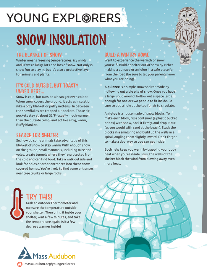 Young Explorers - Snow Insulation Activity Sheet