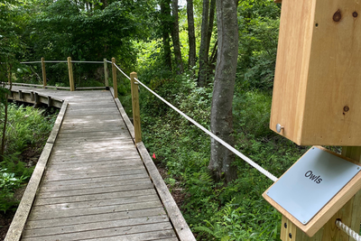 Boardwalk on the All Persons Trail at Allens Pond
