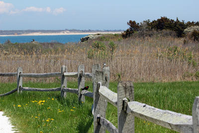 Allens Pond beach trail © Linda Lapre 