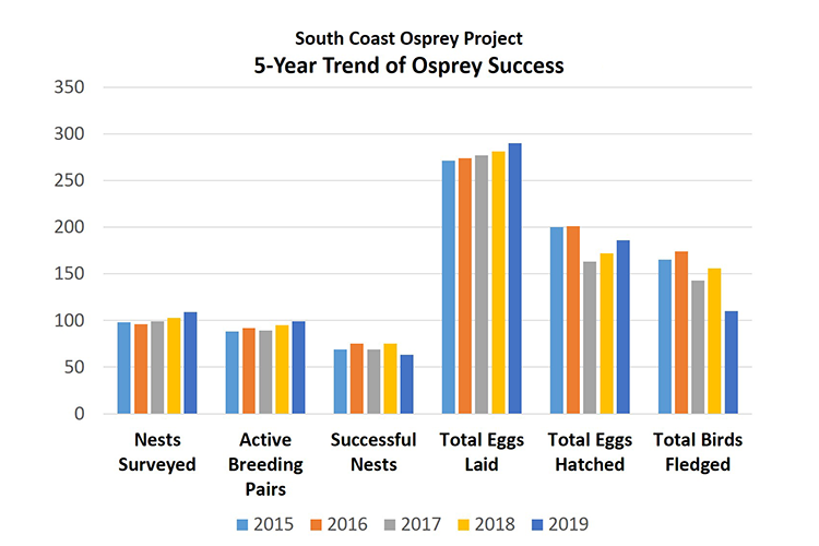 Bar graph of 2015-2019 South Coast Osprey Project data