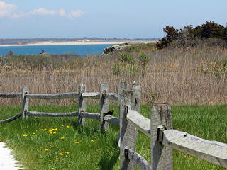 Beach trail at Allens Pond © Linda Lapre