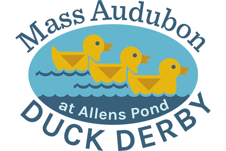 Mass Audubon's Duck Derby at Allens Pond