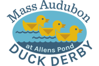 Mass Audubon's Duck Derby at Allens Pond