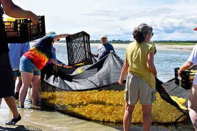 Filling the net with rubber ducks at Duck Derby 2021
