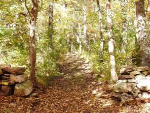 Quansett Trail