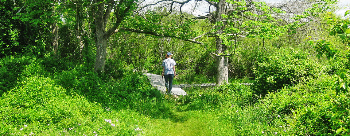 Woman walking forest trail at Allens Pond in summer © Carleen Loper