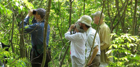 adult group birding at Arcadia Wildlife Sanctuary