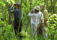 Adult group birding at Mass Audubon Arcadia Wildlife Sanctuary