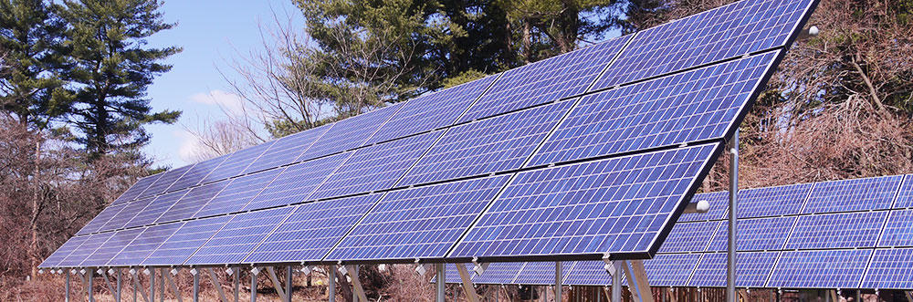 Ground-mounted solar arrays at Arcadia Wildlife Sanctuary