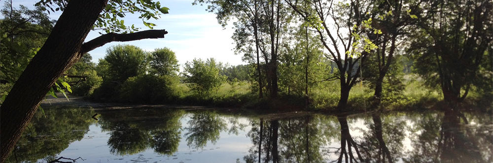 Danks Pond