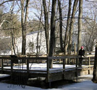 Mass Audubon Arcadia Wildlife Sanctuary
