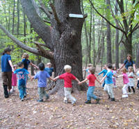 Kids circling a tree at Mass Audubon's Arcadia Wildlife Sanctuary