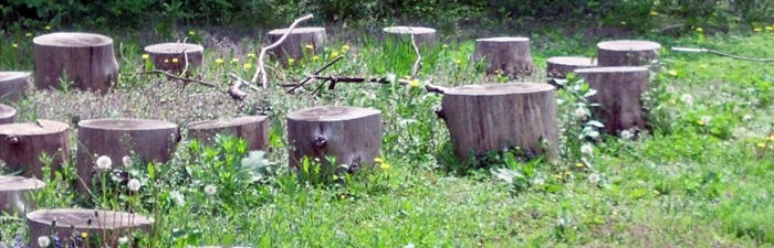 Stump jump at the Arcadia Wildlife Sanctuary nature play area