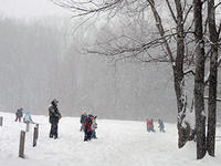People playing in the snow at Arcadia Wildlife Sanctuary