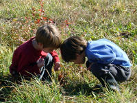 Two boys observing nature at Mass Audubon Arcadia Wildlife Sanctuary