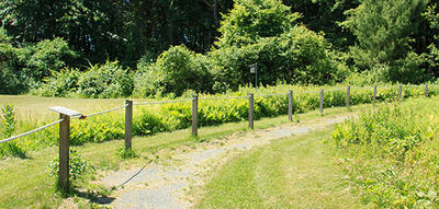 A section of the universally accessible trail at Arcadia Wildlife Sanctuary