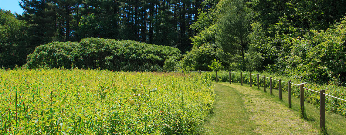 Sensory trail at Arcadia