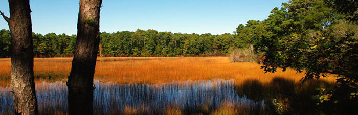 Ashumet Holly pond © Emerson Wheeler