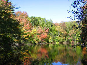 Pond at Attleboro Springs