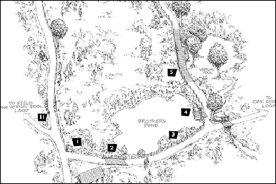 Attleboro Spring Wildlife Sanctuary Reflection Trail Map