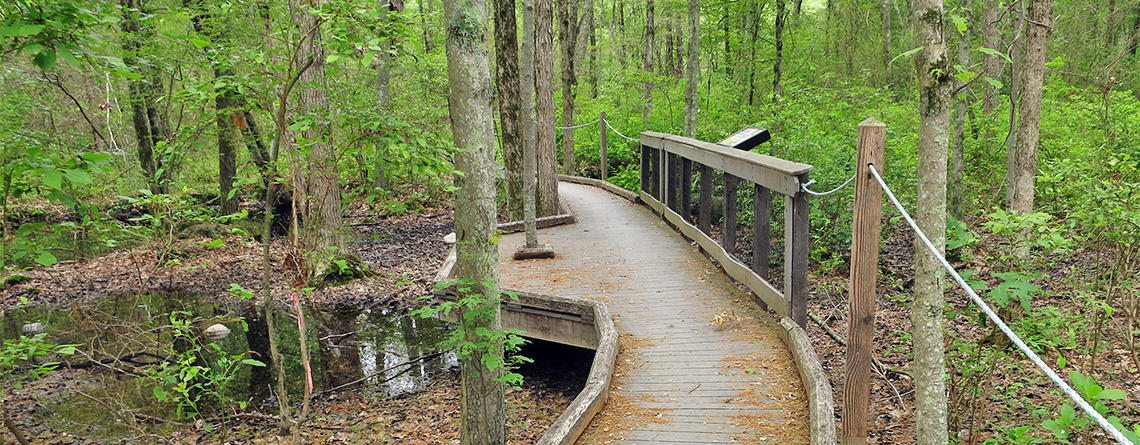 Sensory trail at Attleboro Springs Wildlife Sanctuary (Photo: Rosemary Mosco)