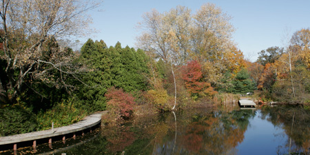 Boardwalk at Blue Hills Trailside Museum