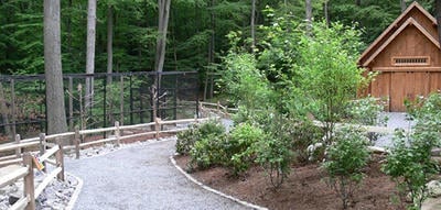 blue hills trailside museum blue hills trailside museum