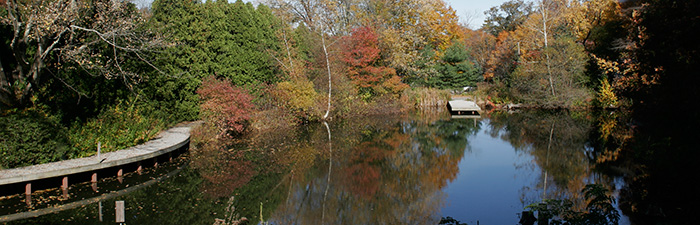 trails at blue hills trailside museum mass audubon
