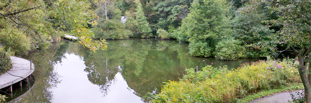 View of the pond from Trailside auditorium