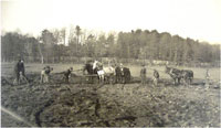 Hospital residents reclaiming 20 acres of marsh land.