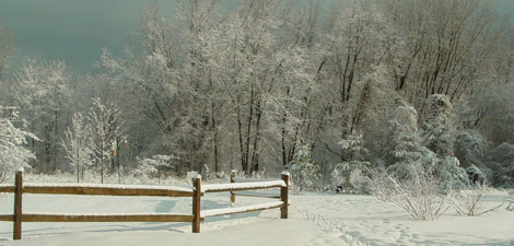Winter at Boston Nature Center