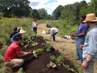Boston Food Forest Coalition volunteers