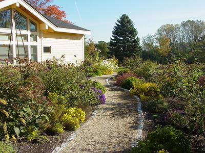 Butterfly Garden at the Boston Nature Center