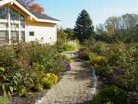 Butterfly Garden at the Boston Nature Center