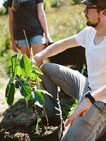 Volunteer Daniel Schenk planting at Boston Nature Center
