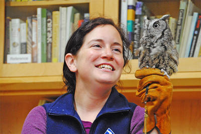 Eastern screech owl at Bird Hop 2017