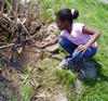 A girl at the Boston Nature Center observing pond life