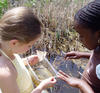 Two girls observing pond life