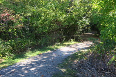 Go For a Walk
